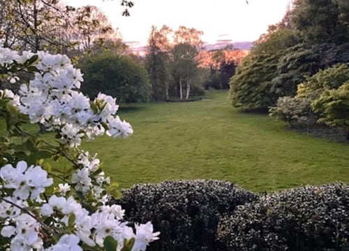 The arboretum almost fully in leaf by mid Spring