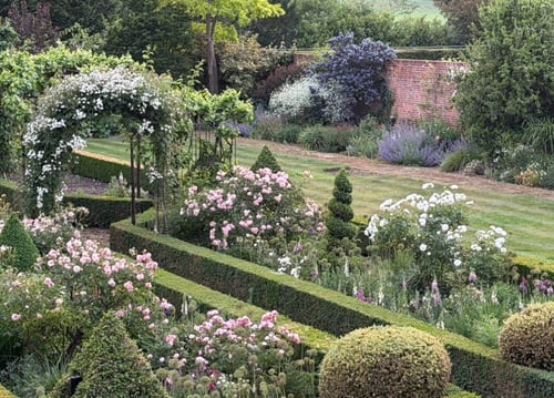 Peak rose season in the Walled Garden