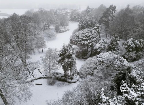 A very white Main Arboretum in Winter 2022/2023