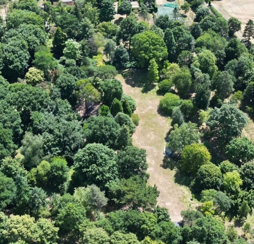 Aerial view of the Main Arboretum