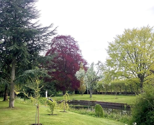 The moat canal with new plantings along the east bank