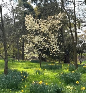 Spring